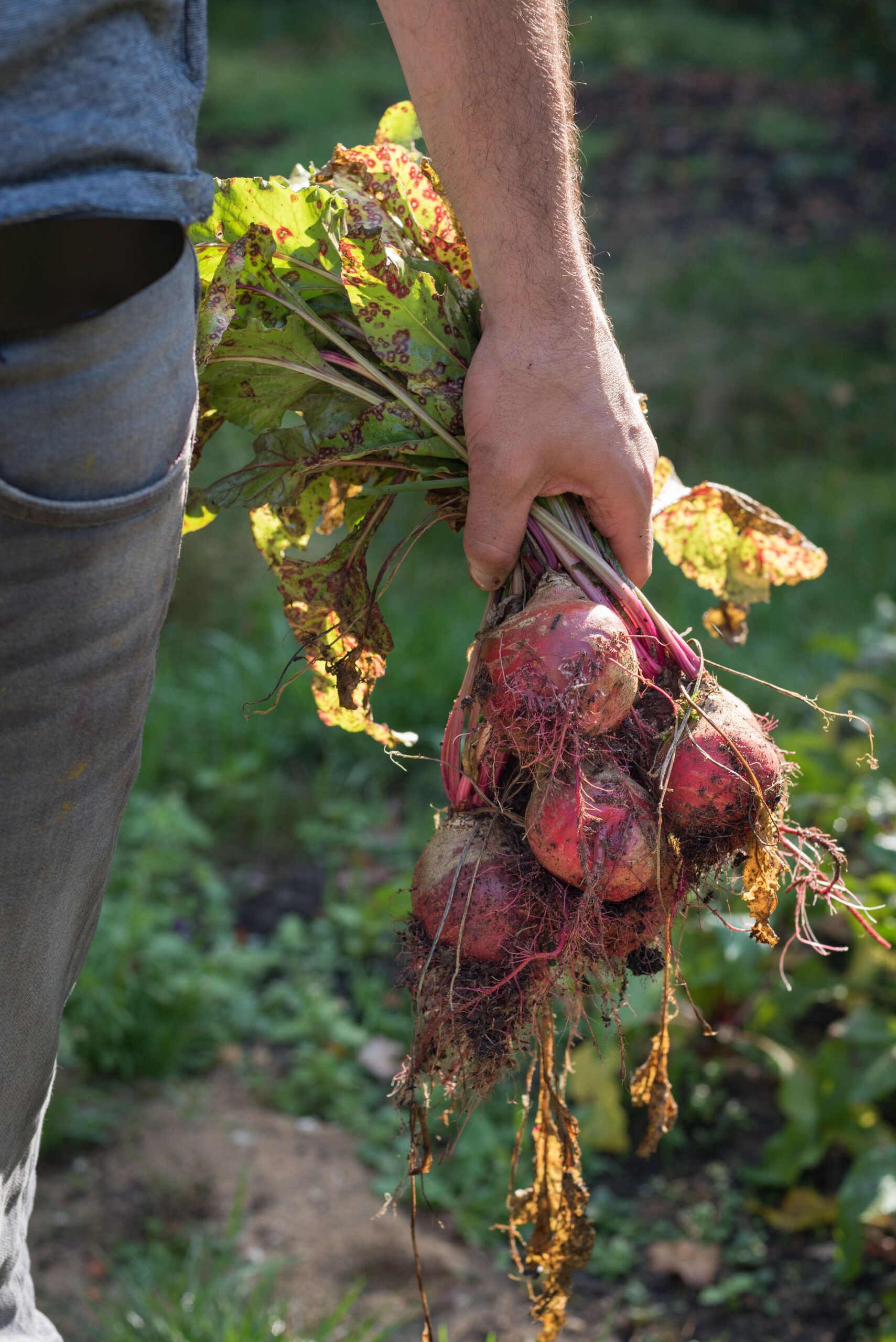 THE YIN RETREAT Hilversum - Afbeelding 15