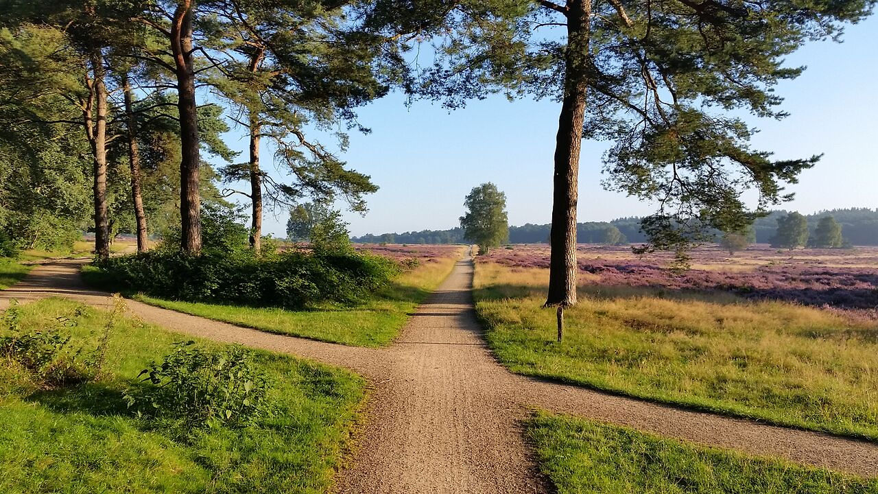 THE YIN RETREAT Hilversum - Afbeelding 9